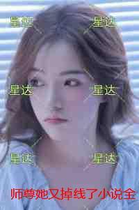 佐鸣双重生晋江