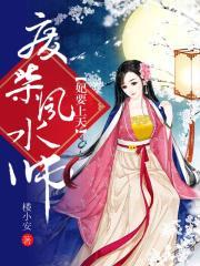 司机与少爷by怪盗红斗篷