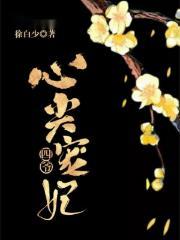 司机与乘客是什么关系