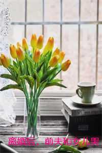 三妻四妾番外说司徒仕晨的