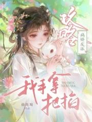综琼瑶皇上