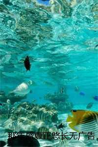 落雁传说双人塔防bug