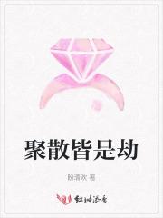 坐怀不乱的近义词