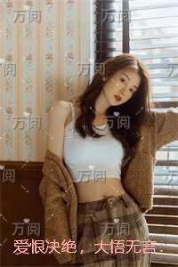 三国之刘备军师司马无忌
