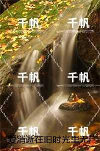 重生之未来世界