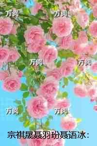 晚安同人原神图片