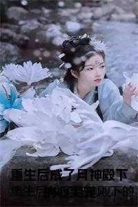 清穿到顺治年间的古言