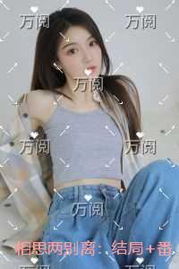 小仓鼠很忙免费阅读