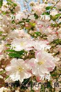 内卷幼崽与咸鱼反派番外