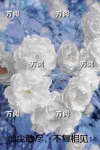 穿越到八十年代农村