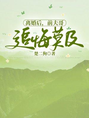 孤雁南飞下一句是什