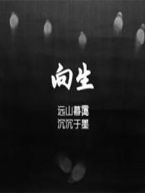 第十二夜二分音符西幻