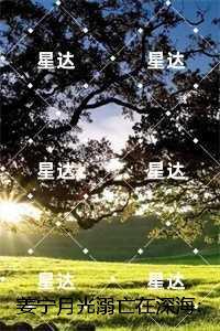取暖器哪种加热效果好