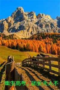 灌篮高手樱木花道cp