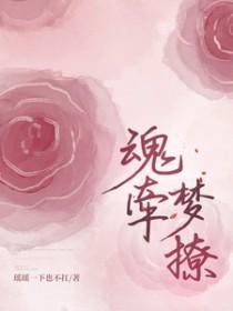 叶落无双是什么歌的歌词