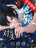 大宋大宋官瓷
