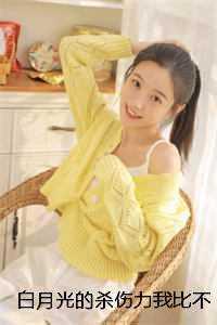 大宋瓷娘子免费