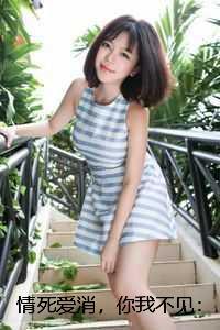 状元家的卷王小夫郎by云依石免费阅读