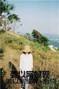 乱世枭雄里的虚构人物有几个