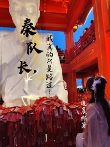 悟空神辅有毒吗