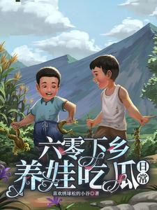 东北往事之黑道风云20年
