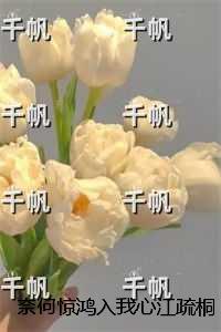 龙的新娘免费观看完整版