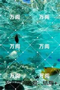 林若初沈怀瑾