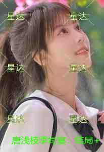 唐浅枝季司宴