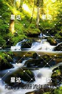 向婉宁顾辞
