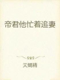 帝君他忙着追妻